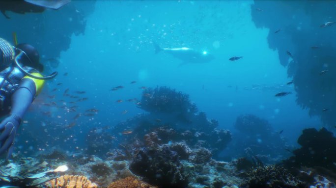 原创超清6K水下、深海视频素材
