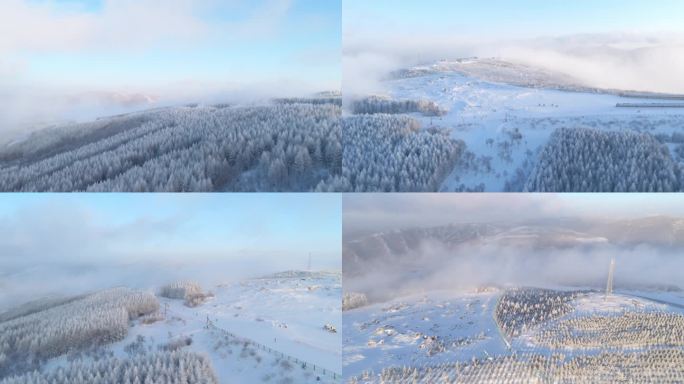 绝美雾凇云海 万龙滑雪场山顶