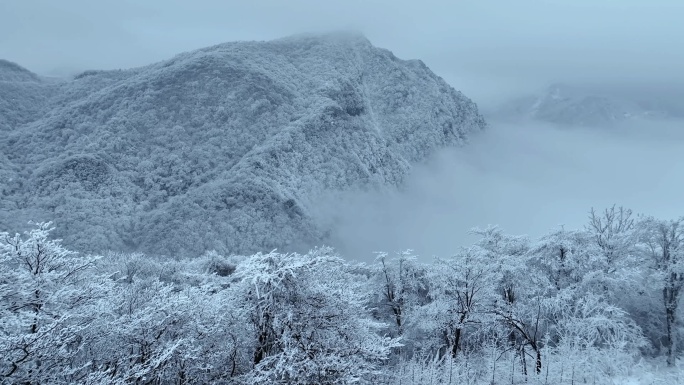 航拍雪中的陕西汉中龙头山冰挂云海