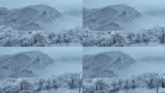 航拍雪中的陕西汉中龙头山冰挂云海