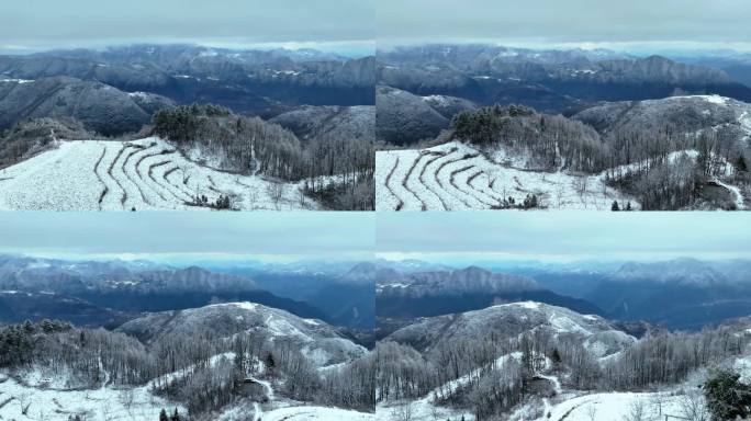 陕西商洛镇安海棠山雪景