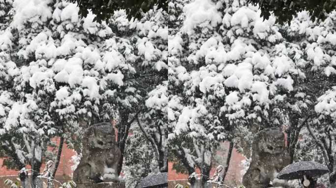 竖屏湖南大学下雪升格雪花慢镜头