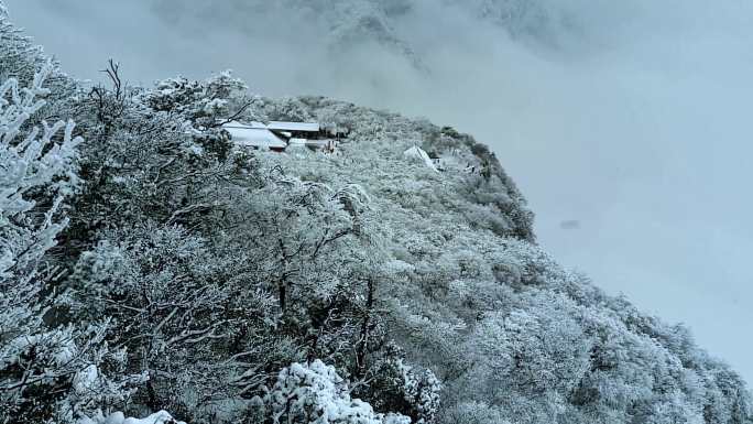 大雪纷飞的陕西汉中龙头山雪松冰挂雾凇