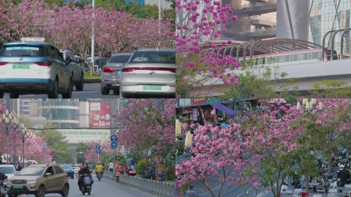 花团锦簇的城市街景_4K60帧