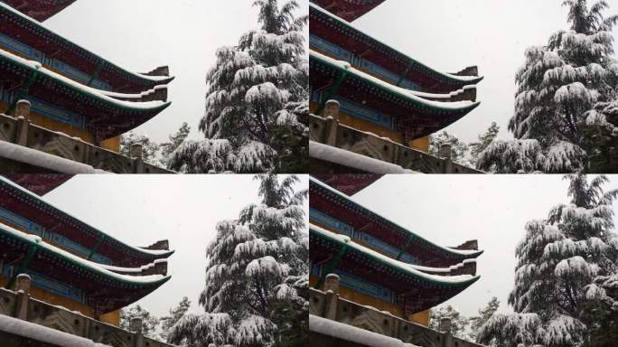 长沙岳麓书院雪景古建筑屋檐实拍