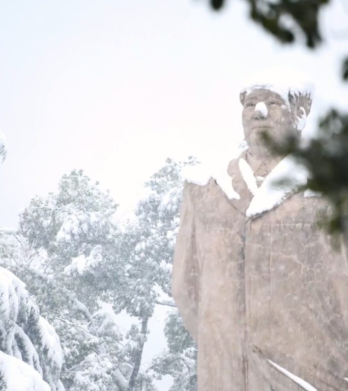 竖屏湖南大学下雪升格雪花慢镜头