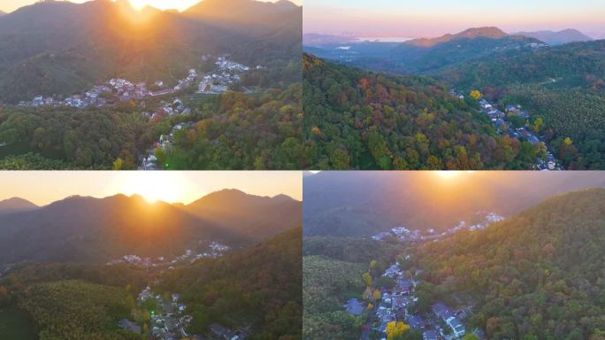 唯美杭州西湖龙井茶文化景区航拍茶园地茶叶