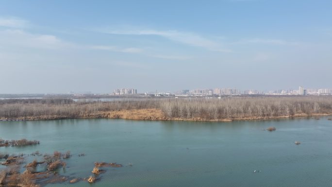 航拍襄阳汉江国家湿地公园自然风景城市风光