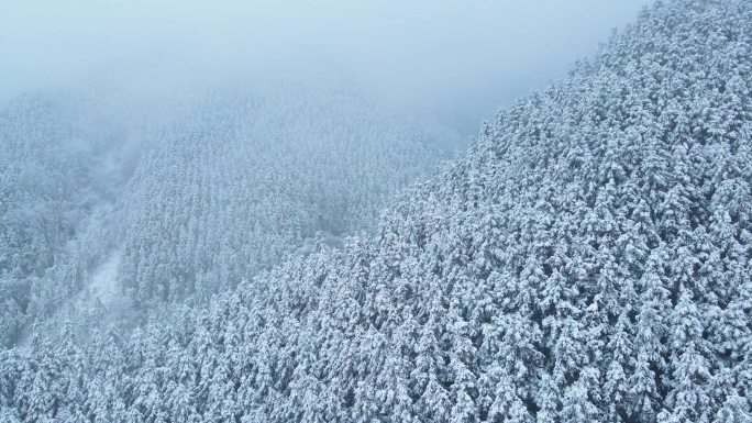 冬天下雪大气雪景