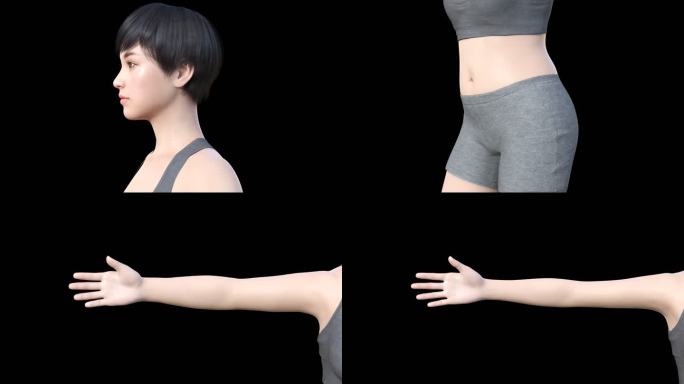 女人变瘦动画瘦脸脖子瘦肚子大腿手臂带通道