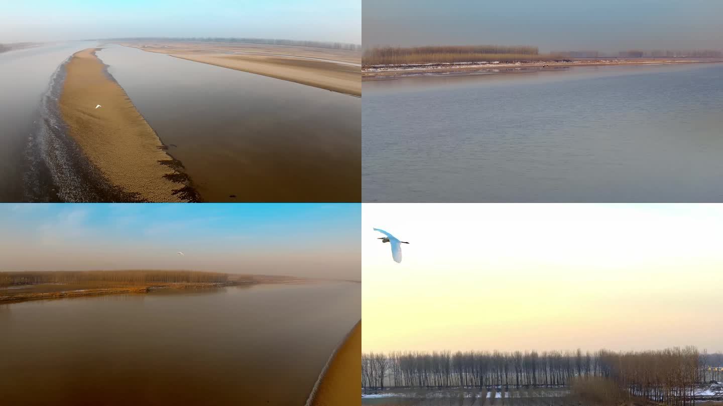 冬天黄河滩涂早上阳光 有鸟