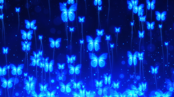 唯美蓝色蝴蝶粒子背景