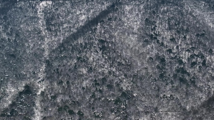 长沙岳麓山下森林雪景航拍