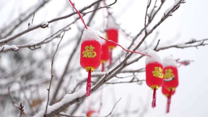 雪景下雪时树上挂的红灯笼