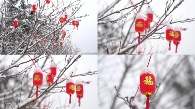 雪景下雪时树上挂的红灯笼