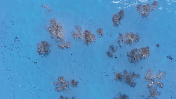 俯拍森林大兴安岭山岭桦树林雪地雪景