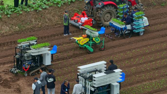 观光农业现代化机械化农业种植小菜苗