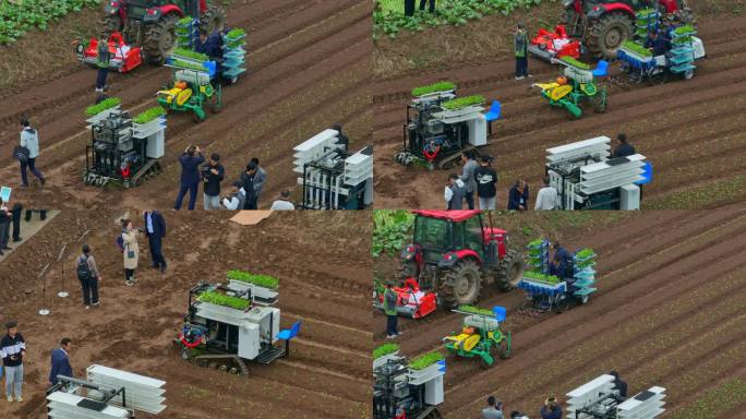 观光农业现代化机械化农业种植小菜苗