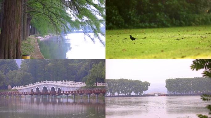 东湖宾馆清晨小景