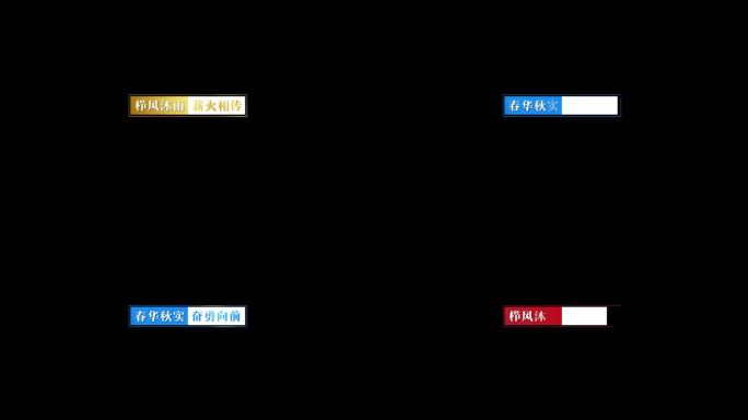 简洁商务风 左下角关键文字 说明性文字