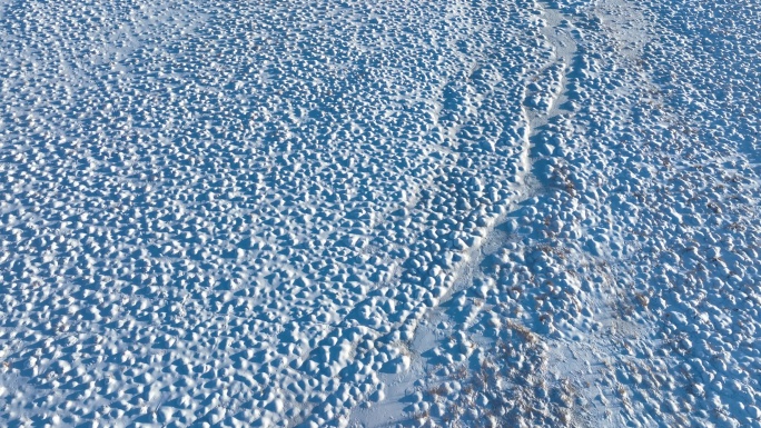 湿地雪包塔头甸子雪景