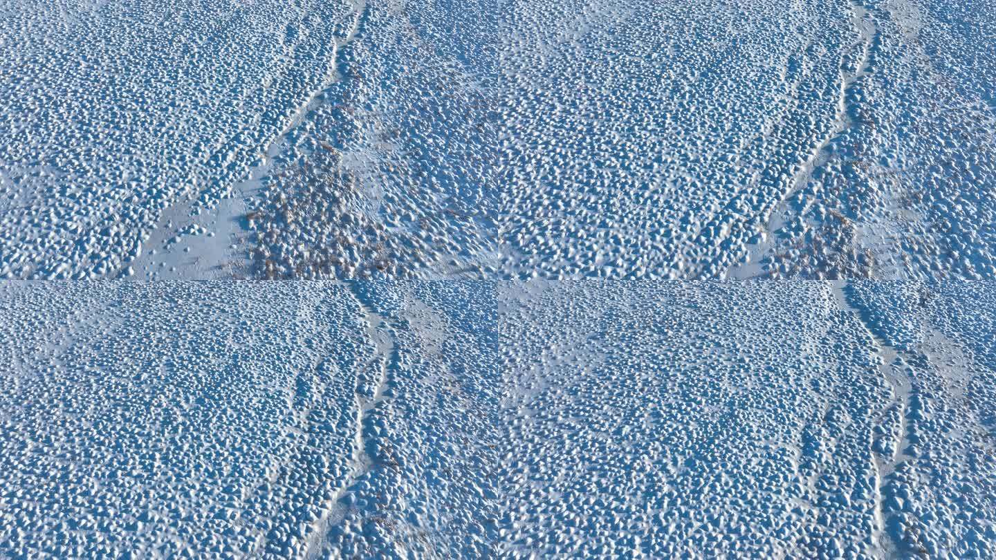 湿地雪包塔头甸子雪景