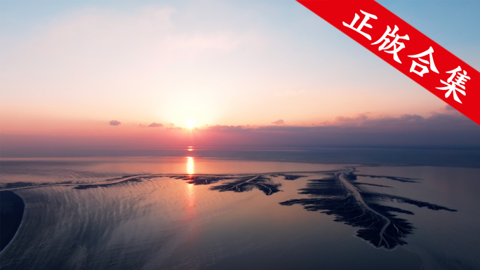 钱塘江冰封潮汐树