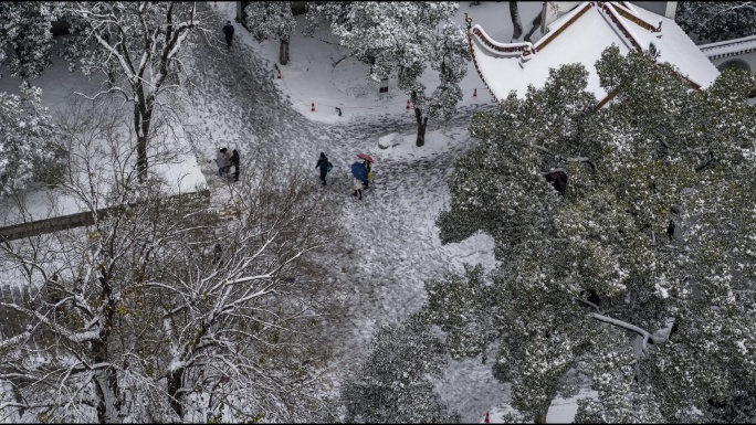 长沙岳麓山岳麓书院冬季通天雪景【精品】