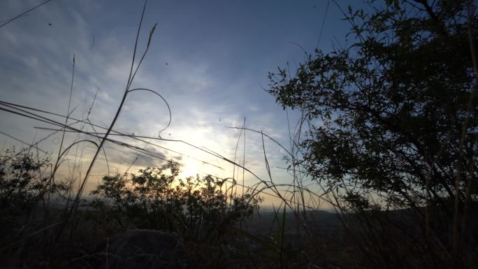 夏天 风景 封龙书院 农村空境 农村