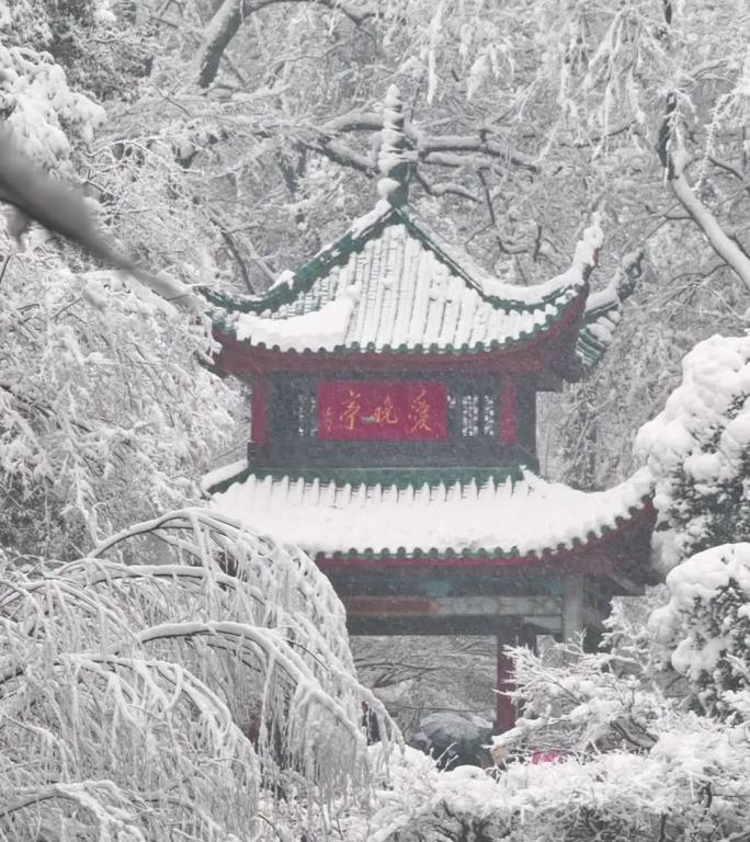 竖屏长沙岳麓山下雪升格雪花慢镜头