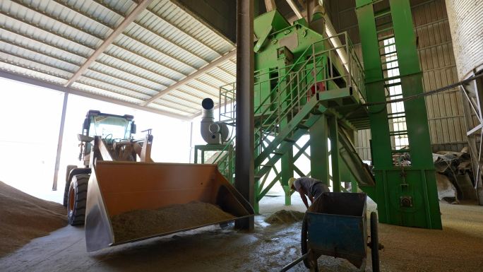 稻米加工机械化生产