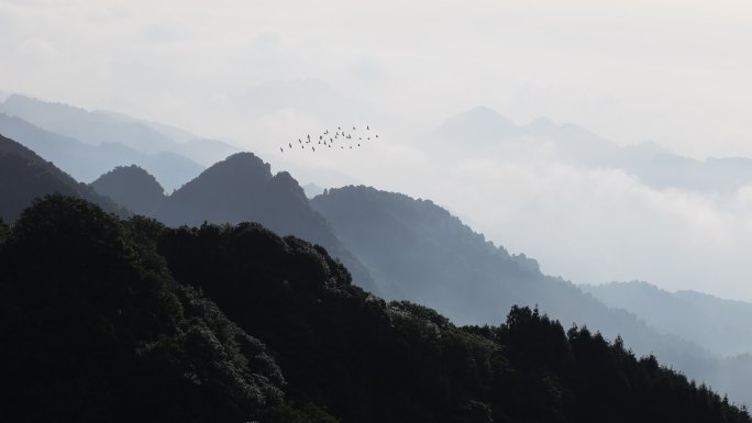 中国风群山飞鸟写意