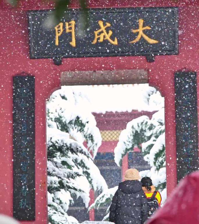 竖屏长沙岳麓山下雪升格雪花慢镜头