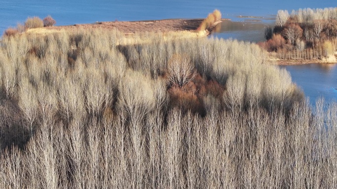 冬季剑湖湿地保护区的风景美如画