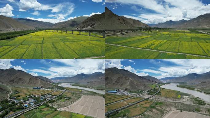 雅鲁藏布江畔的油菜田和拉林铁路复兴号