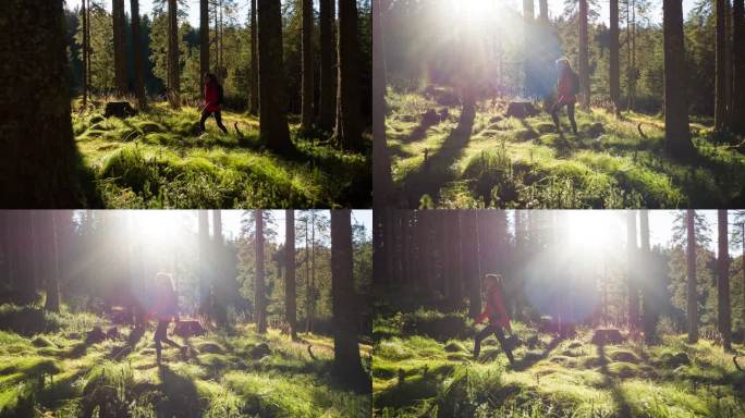 健康的年轻女性徒步旅行者在一个美丽的日子里穿过阳光明媚的郁郁葱葱的森林