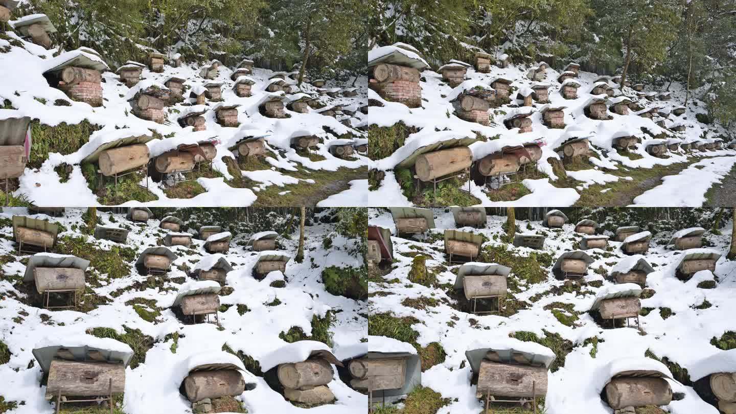 原生态天然养蜂场冬季白雪覆盖蜂箱