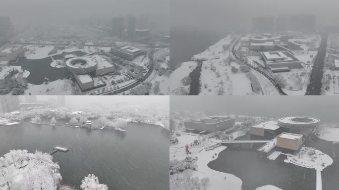 4K长沙大雪洋湖李自健谢子龙城市馆