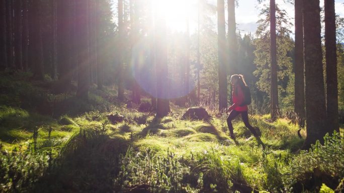 健康的女人保持健康的生活方式，徒步在阳光明媚的森林小径