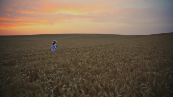 在美丽的夕阳下，漫步在麦田里的女人