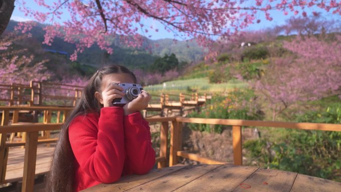 在美丽的樱花盛开的秋日，一个女孩拿着相机享受在大自然中拍照，捕捉家庭和户外乐趣的本质