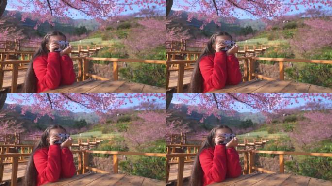 在美丽的樱花盛开的秋日，一个女孩拿着相机享受在大自然中拍照，捕捉家庭和户外乐趣的本质