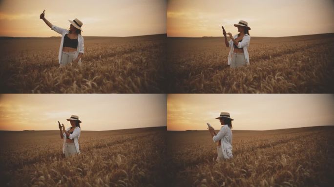 一名女子在麦田里用手机自拍，欣赏日落美景