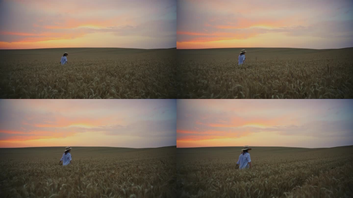 日落时分，一名女子优雅地走在风景如画的麦田里