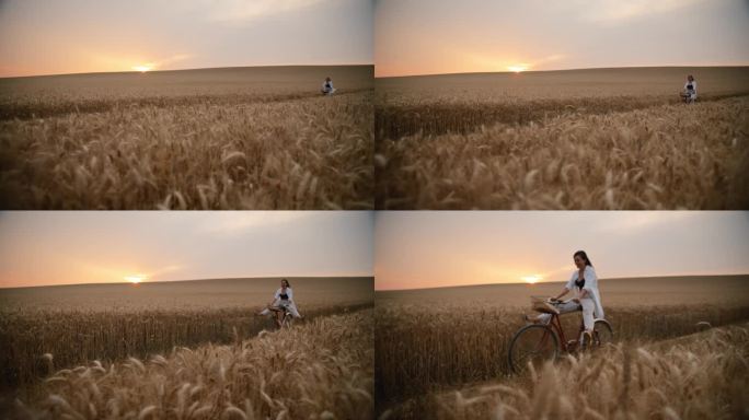 日落时分，顽皮的双腿分开的女人在麦田里骑自行车