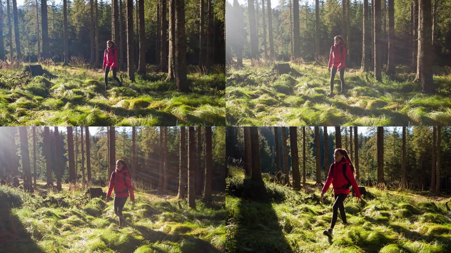 在一个阳光明媚的日子里，快乐的女徒步旅行者穿过郁郁葱葱的绿色森林