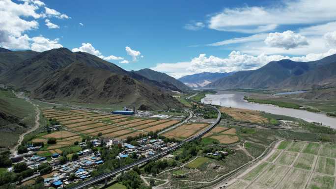 雅鲁藏布江畔的油菜田和拉林铁路上的列车