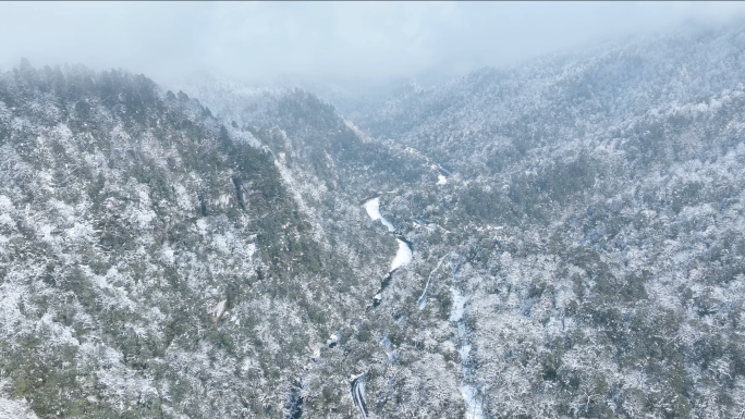 龙苍沟森林公园原始森林唯美大气雪景