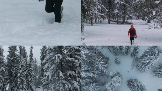 航拍男人走在大雪覆盖的喀纳斯森林中合集