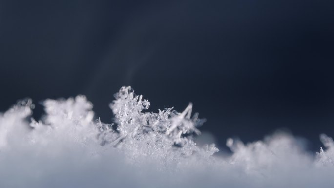 冬天雾凇雪花